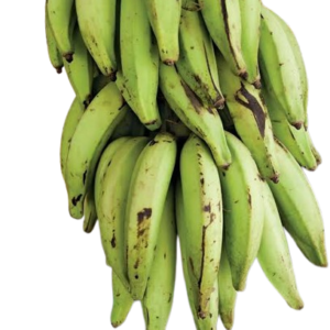 Plantain Bunch (Apem)