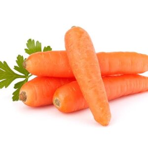 Carrots Big Size
