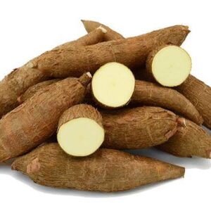 Cassava