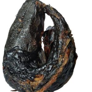 Smoked  CatFish  Small ( Adwene 1)