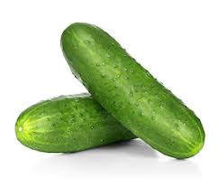Cucumber