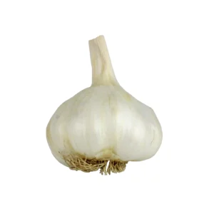 Garlic 1pc