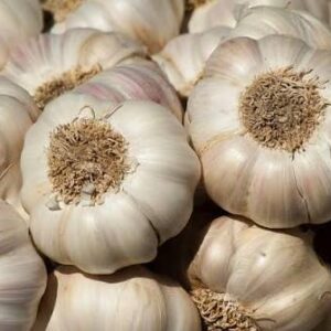 Garlic - Kg