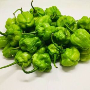 Green Pepper