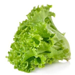 Lettuce (1 Bundle)