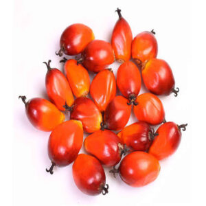 Palm Fruit ( Abe)