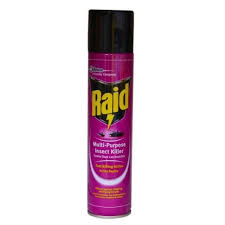 Raid Insecticide Spray 300ml