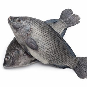 Fresh Tilapia Medium Size -2pcs