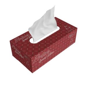 Paper Tissue Box