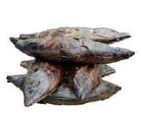 Smoked Tuna