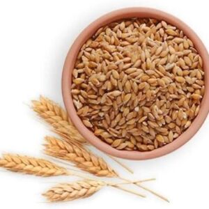 Local Wheat 1-Cup
