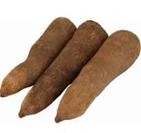 Yam (New Pona) -3pcs