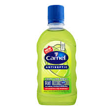 Camel Antiseptic Liquid Zesty 125ml